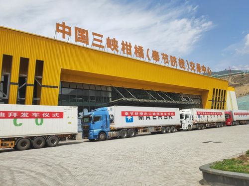 金 橙 飄香拓 眼 界 重慶奉節(jié)品牌添 翼 ,促產(chǎn)業(yè)煥發(fā)新機(jī)鳳凰網(wǎng)重慶