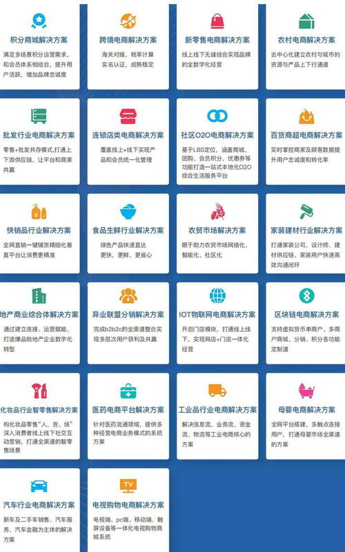 開發定制商城比較好的公司